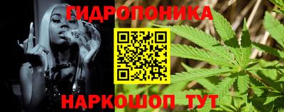 шишки Рузаевка