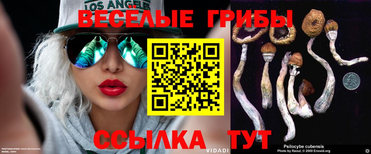 Псилоцибиновые грибы MAGIC MUSHROOMS Нягань